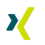 XING
